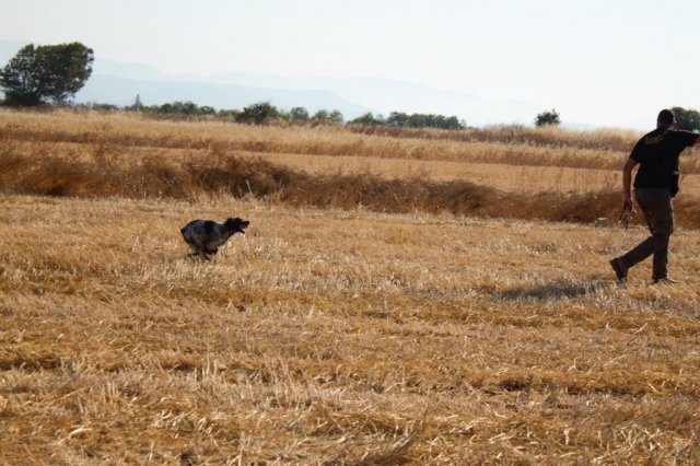 Αγωνες Α.Κ.Ι 18/6/2017